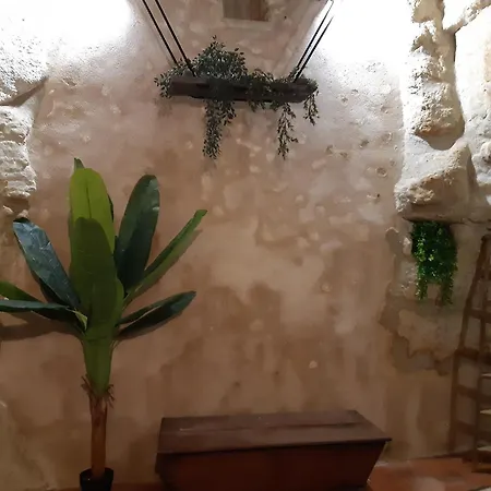 Troglodyte - La Grotte D'aure *